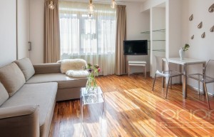 Apartment for rent, 2+kk - 1 bedroom, 45m<sup>2</sup>