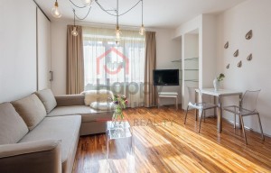 Apartment for rent, 2+kk - 1 bedroom, 45m<sup>2</sup>