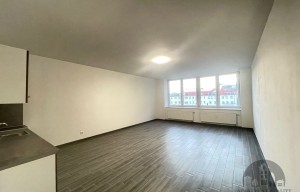 Apartment for rent, 1+KK - Studio, 50m<sup>2</sup>