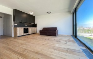 Apartment for rent, 1+KK - Studio, 38m<sup>2</sup>