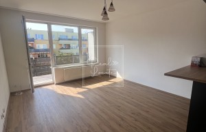 Apartment for rent, 2+kk - 1 bedroom, 55m<sup>2</sup>