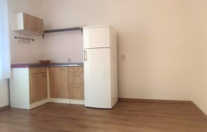 Apartment for rent, 3+kk - 2 bedrooms, 145m<sup>2</sup>