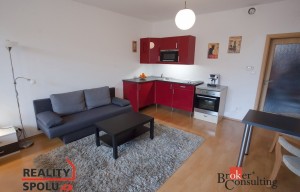 Apartment for rent, 1+KK - Studio, 43m<sup>2</sup>