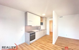 Apartment for rent, 1+KK - Studio, 53m<sup>2</sup>