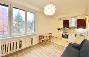 Apartment for rent, 1+KK - Studio, 33m<sup>2</sup>