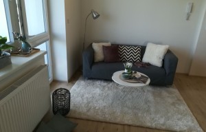 Apartment for rent, 2+kk - 1 bedroom, 47m<sup>2</sup>