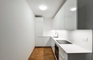 Apartment for rent, 1+KK - Studio, 47m<sup>2</sup>