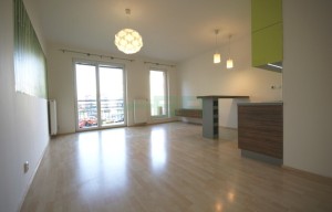 Apartment for rent, 1+KK - Studio, 37m<sup>2</sup>