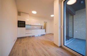 Apartment for rent, 1+KK - Studio, 33m<sup>2</sup>