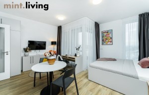 Apartment for rent, 1+KK - Studio, 38m<sup>2</sup>