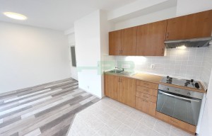 Apartment for rent, 2+kk - 1 bedroom, 47m<sup>2</sup>