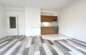 Apartment for rent, 2+kk - 1 bedroom, 47m<sup>2</sup>