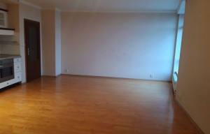 Apartment for rent, 2+kk - 1 bedroom, 55m<sup>2</sup>