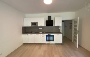 Apartment for rent, 1+KK - Studio, 36m<sup>2</sup>