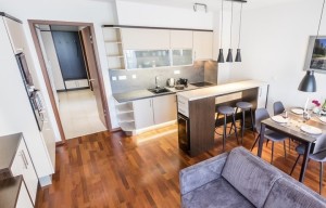 Apartment for rent, 2+kk - 1 bedroom, 50m<sup>2</sup>