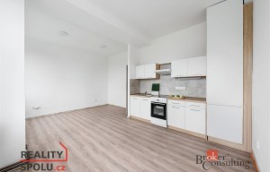 Apartment for rent, 2+kk - 1 bedroom, 51m<sup>2</sup>