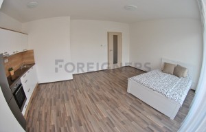 Apartment for rent, 1+KK - Studio, 43m<sup>2</sup>