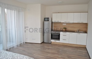 Apartment for rent, 1+KK - Studio, 43m<sup>2</sup>