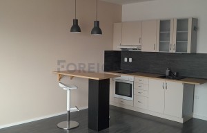 Apartment for rent, 1+KK - Studio, 32m<sup>2</sup>