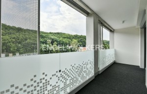 Apartment for rent, 2+kk - 1 bedroom, 55m<sup>2</sup>