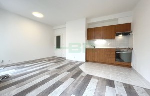 Apartment for rent, 2+kk - 1 bedroom, 47m<sup>2</sup>