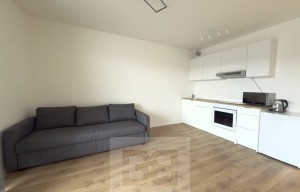 Apartment for rent, 1+KK - Studio, 30m<sup>2</sup>