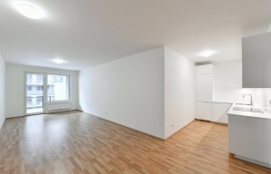 Apartment for rent, 1+KK - Studio, 47m<sup>2</sup>