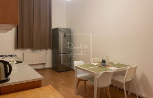 Apartment for rent, 3+kk - 2 bedrooms, 108m<sup>2</sup>