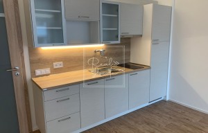 Apartment for rent, 1+KK - Studio, 37m<sup>2</sup>