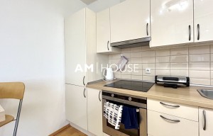 Apartment for rent, 1+KK - Studio, 39m<sup>2</sup>