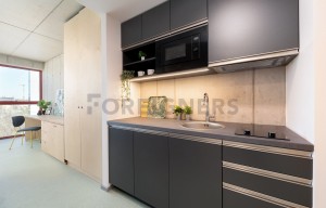 Apartment for rent, 1+KK - Studio, 28m<sup>2</sup>