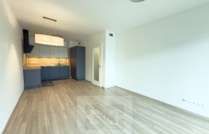 Apartment for rent, 2+kk - 1 bedroom, 53m<sup>2</sup>