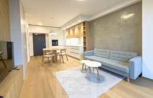 Apartment for rent, 2+kk - 1 bedroom, 43m<sup>2</sup>