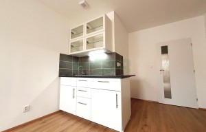 Apartment for rent, 1+1 - Studio, 45m<sup>2</sup>