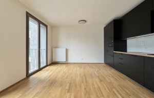 Apartment for rent, 2+kk - 1 bedroom, 55m<sup>2</sup>