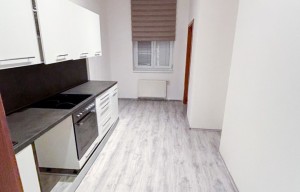 Apartment for rent, 1+KK - Studio, 53m<sup>2</sup>