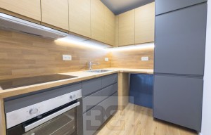 Apartment for rent, 2+kk - 1 bedroom, 43m<sup>2</sup>