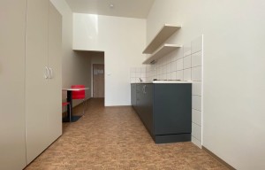 Apartment for rent, 1+KK - Studio, 24m<sup>2</sup>