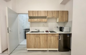 Apartment for rent, 1+KK - Studio, 35m<sup>2</sup>