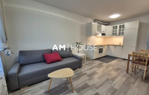 Apartment for rent, 2+kk - 1 bedroom, 55m<sup>2</sup>