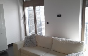 Apartment for rent, 1+KK - Studio, 50m<sup>2</sup>