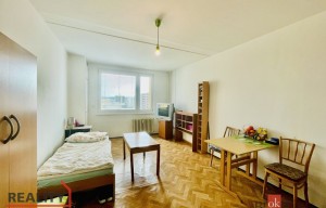 Apartment for rent, 1+KK - Studio, 45m<sup>2</sup>