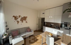 Apartment for rent, 2+kk - 1 bedroom, 46m<sup>2</sup>