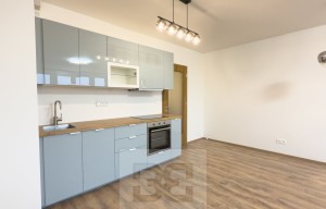 Apartment for rent, 1+KK - Studio, 37m<sup>2</sup>