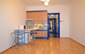 Apartment for rent, 1+KK - Studio, 33m<sup>2</sup>