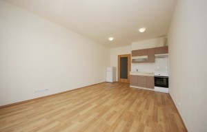 Apartment for rent, 1+KK - Studio, 34m<sup>2</sup>