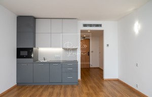 Apartment for rent, 1+KK - Studio, 32m<sup>2</sup>