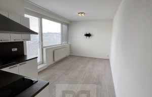 Apartment for rent, 1+KK - Studio, 34m<sup>2</sup>