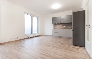 Apartment for rent, 1+KK - Studio, 44m<sup>2</sup>