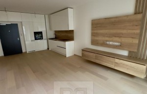 Apartment for rent, 1+KK - Studio, 48m<sup>2</sup>